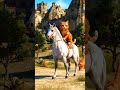 القط البرتقالي يمتطي حصان ويسقط من على ظهره Funny Horse 