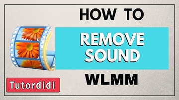 how to remove audio on windows movie maker