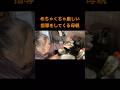 うどんを茹でて厳しい指導をしてるくる親方 #shorts #うどん #関慎吾 #料理動画