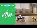 Dr. Lucas | Lucas the Spider | Cartoonito