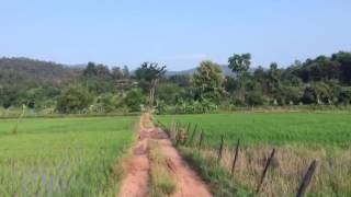 Panya Permaculture Project