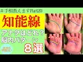 【知能線8パターン解説】脳内・行動がわかる知能線!濃さ・長さ・角度徹底解説。鑑定歴22年占い師の手相勉強会第20回。#公式ラインで手相募集中