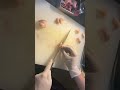 ぼんじり仕込み