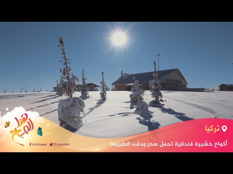 🌅 هذا الصباح - للهاربين من كورونا.. أكواخ خشبية فندقية تحمل سحر ودفء الطبيعة في تركيا