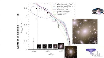Measuring Luminosity Function for the Perseus Cluster of Galaxies using Euclid ERO data
