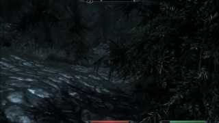 Record Test #1 - Skyrim