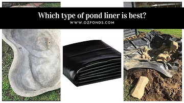 Which type of pond liner is best?