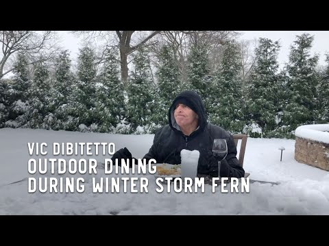Outdoor Dining During Winter Storm Fern