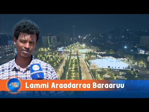 Misoomni Koriidarii Amaleeffannaa Jireenya Jijjiiraa Jira