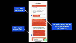 How To Buy More Calling Minutes And Personal Phone Number From Crowdvoice Portal