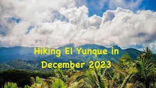 Hiking El Yunque (Puerto Rico) in December 2023