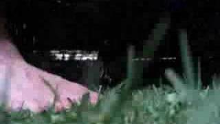 pink floyd   The Gnome