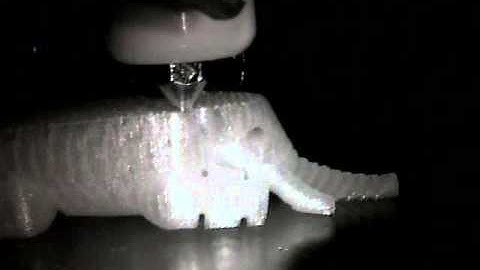 Polar3D Timelapse of Elephant (Night Vision Test #2)