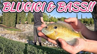 BLUEGILL PANCAKES!!! FISHING FADED EP12🎣
