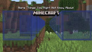 More Things You Might Not Know About Minecraft!