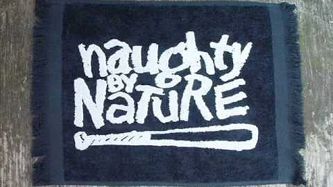 Naughty by Nature (Feat. Pink)- What You Wanna Do