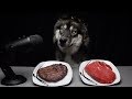 ASMR Dog Chooses Raw vs Cooked Meat!