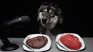 ASMR Dog Chooses Raw vs Cooked Meat!
