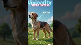 What is Viviparity? 🐾 #Biology #Animals #Nature #Education #YouTubeShorts #ScienceFacts #Learning