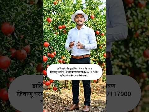 डाळिंब 10% तेल्या नियंत्रण औषध #डाळिंब #pomogranate