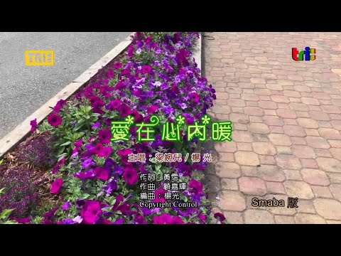 愛在心內暖 MTV  梁婉兒/楊光合唱