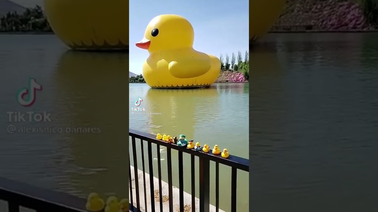 Encontrar al patito juan ￼ 