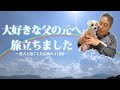 【愛犬と過ごした最後の４日間】父の一周忌に愛犬が旅立ちました