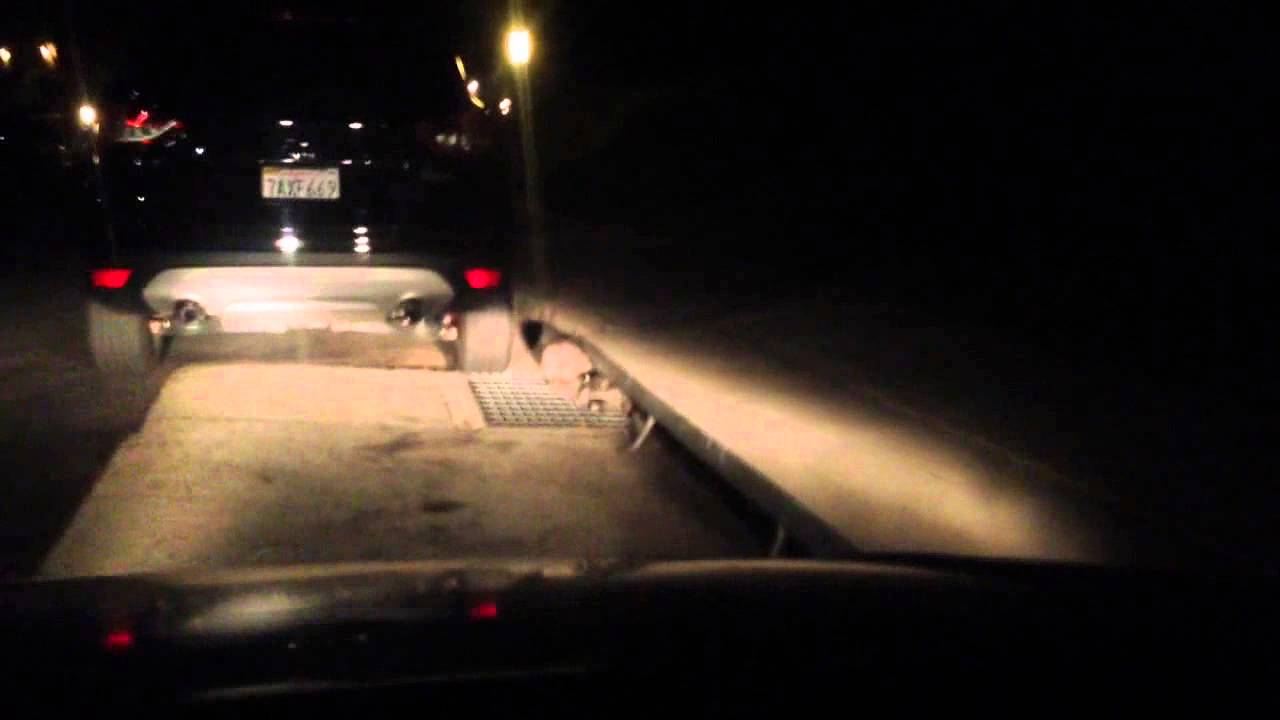 Saving Baby Raccoon's Listen to this Baby Scream! white shoes