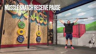 Snatch Prep Receive Pause (Pull+Pause Muscle+ Power+ OHS Slow & Pause+ Balance + Pause Squat Snatch)
