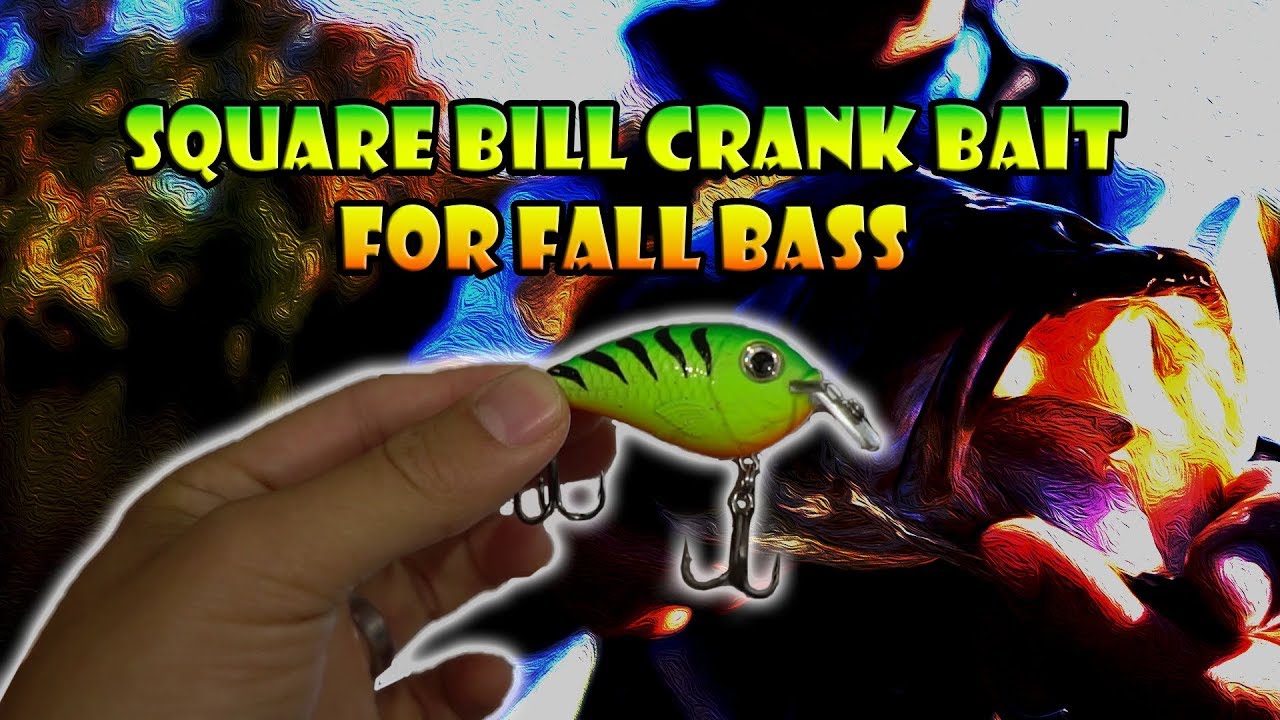 Fall Bass Fishing with Square Bill Crankbait (Discontinued Rapala) Laytons Lake NJ