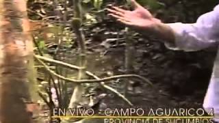 CONTAMINACIÓN  Rafael Correa muestra al mundo #LaManoSuciadeChevron