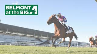 Talking Horses - May 15, 2026