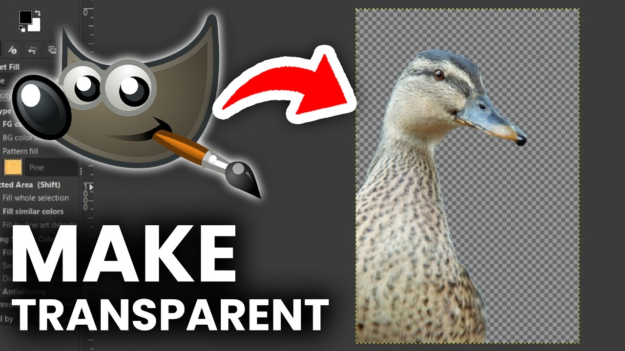 How To Make Transparent Picture In GIMP - Step By Step - YouTube