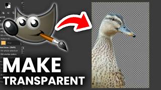 How To Make Transparent Picture In GIMP - Step By Step