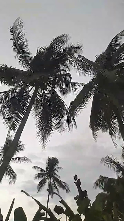 senja didesa#kunfayakun #doa