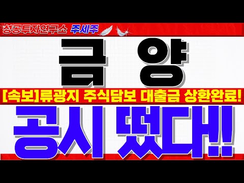 #<strong>금양주가</strong> #금양분석 #금양대응