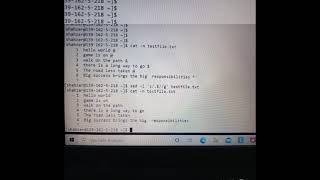 Deleting a nasty last character at the end of each line in a file without opening it : In Unix.