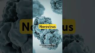 Norovirus: What You Need to Know