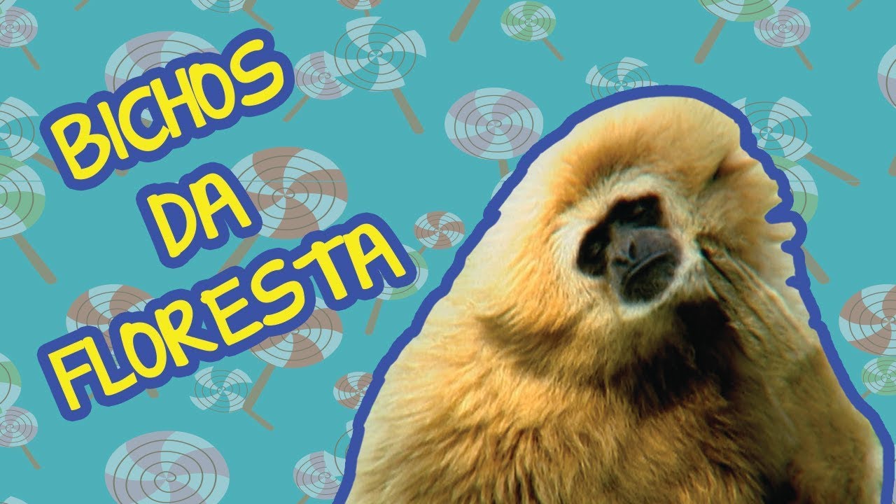 BICHOS DA FLORESTA | BEBÊ MAIS BICHOS