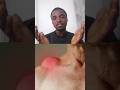 lipoma formation and some basic home remedies