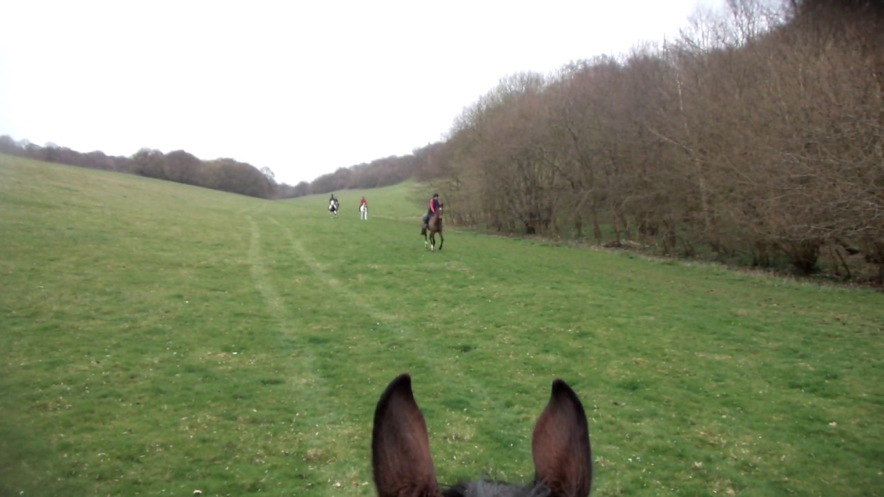 Poppet cantering in with the hacking harriers