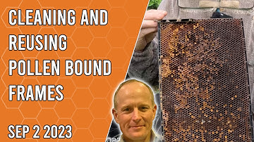 Cleaning and Reusing Pollen Bound Frames - Jacksonville FL Zone 9a