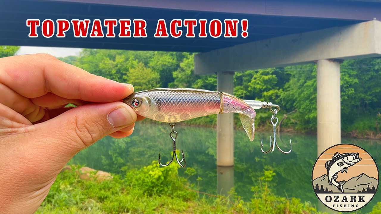 Topwater Fishing for AGGRESSIVE Creek Bass!