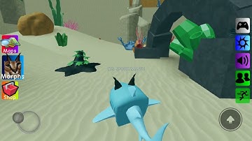 how to get shark floppa in floppa morphs