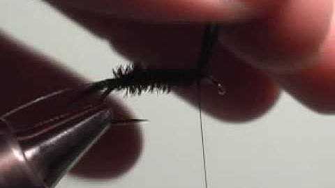 zugbug nymph video www.jerrysflyfishingtips.com