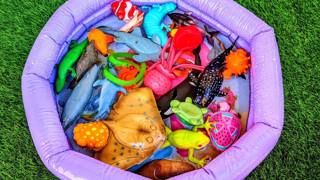 Ocean Creature Names for Kids | Sea Animals Learning Playtime for Toddlers