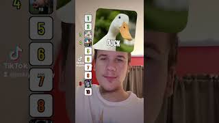 Ranking Farm Animals As Pets!