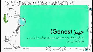 🧬 DNA, Genes, Chromosomes & Alleles EXPLAINED! 🔬 | Genetics Made Easy