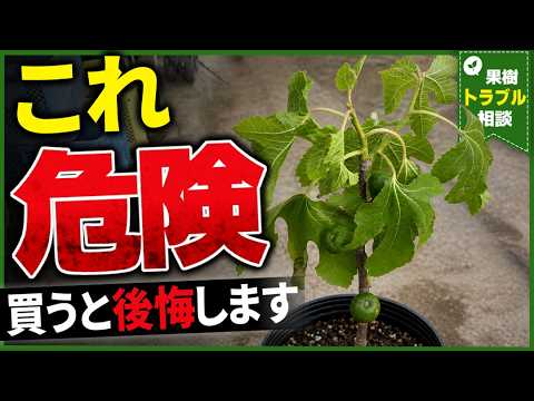 Caution] Why are these seedlings dangerous? Pitfalls of buying at