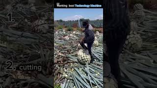 Ranking The Best Technology Machine Woww Obsessed .#viralvideos #shorts